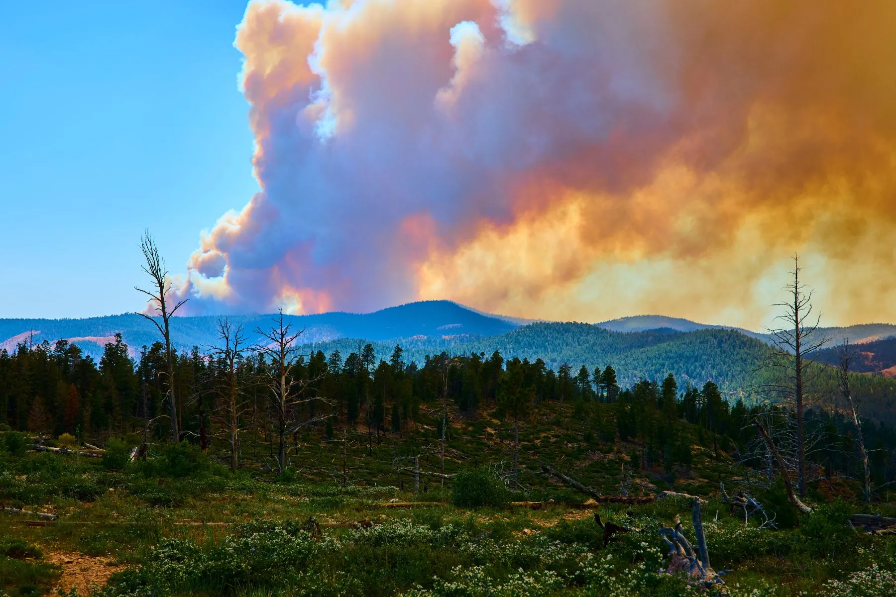 September Fire Weather: Santa Ana Winds and the Start of the Southwest's Highest-Risk Season