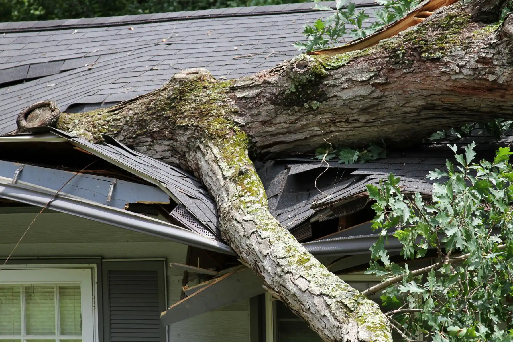 From Emergency Response to Rebuild: Understanding the Property Restoration Timeline