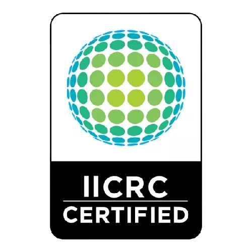 IICRC Certified Logo