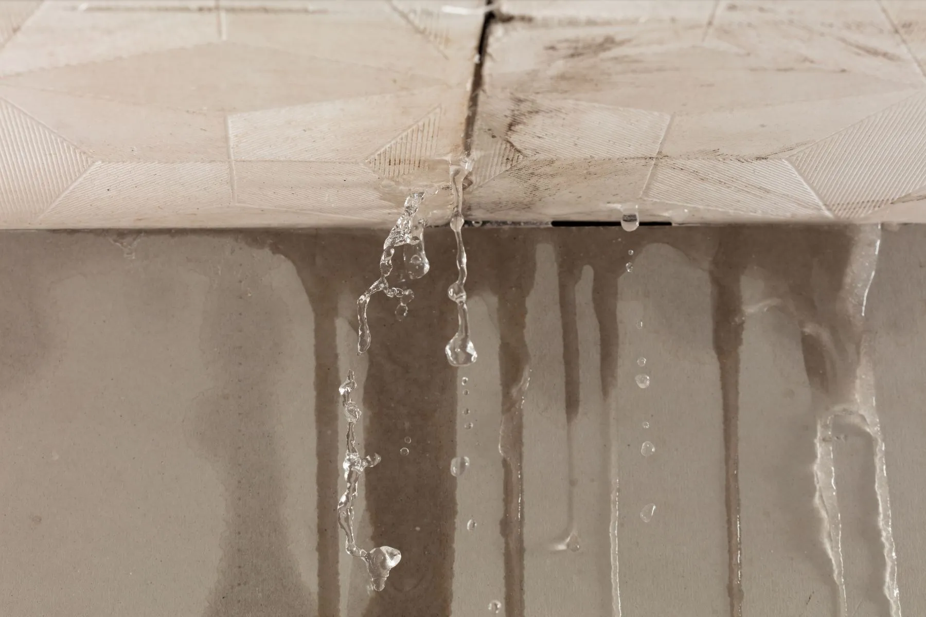 5 Hidden Places Winter Water Damage Strikes (& How to Spot It Early)