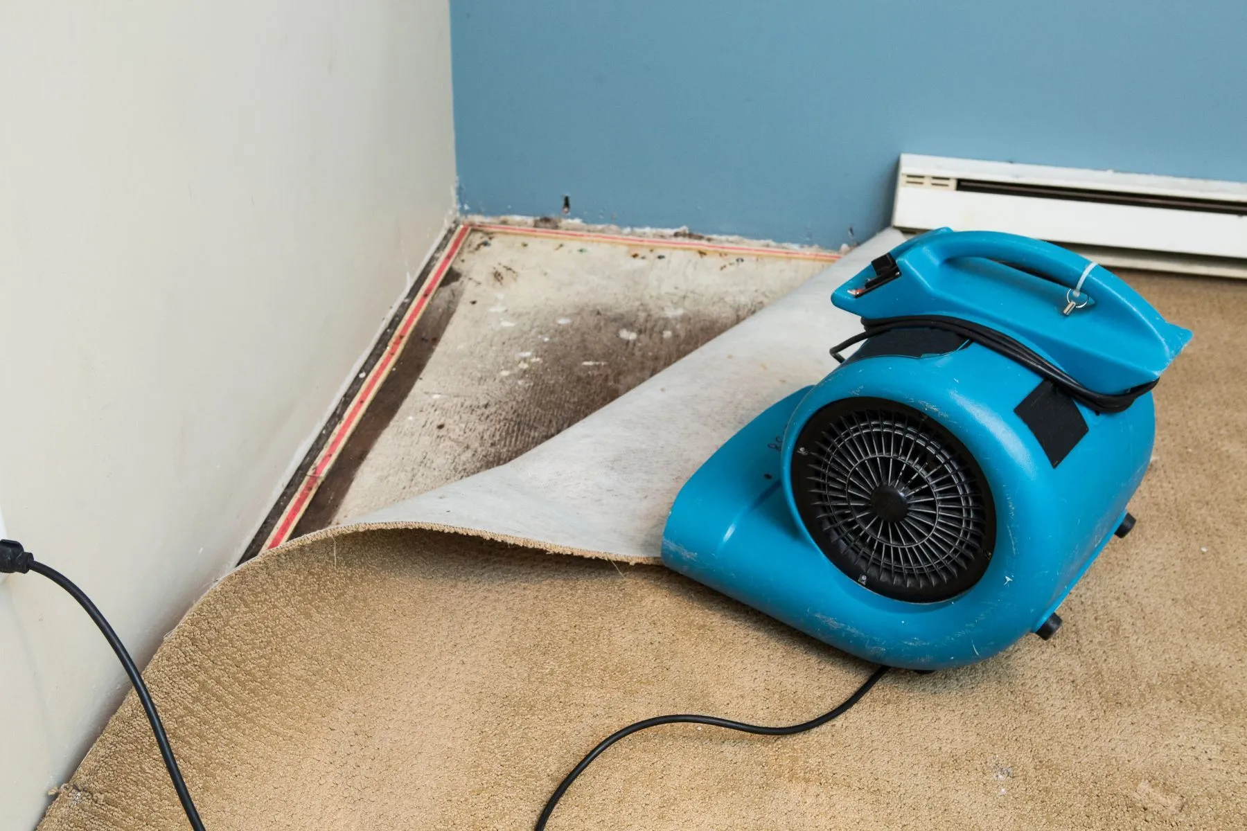 Mold After Winter: Why March Is a Critical Month for Hidden Mold Growth