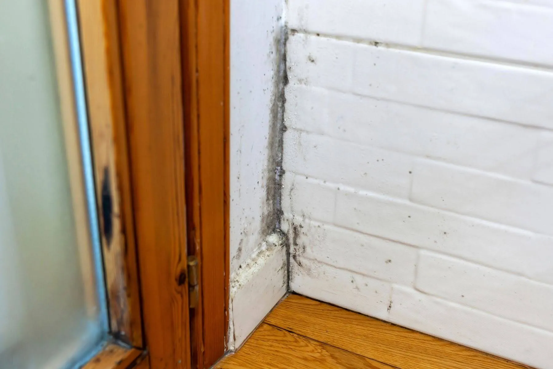 How to Tell If You Have Mold Behind Your Walls (& What to Do About It)