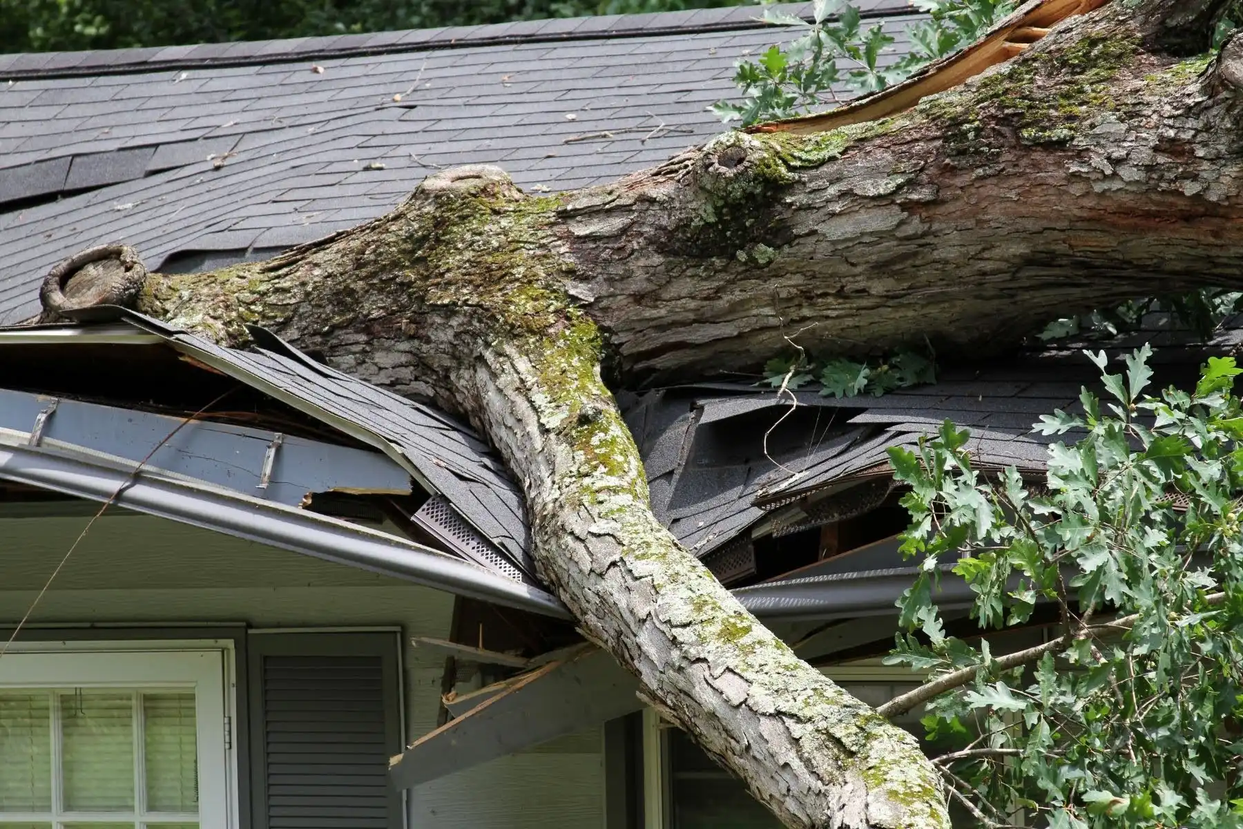 Roof Damage, Flooding, & Fallen Trees: How to Prioritize Storm Damage Repairs Before They Get Worse