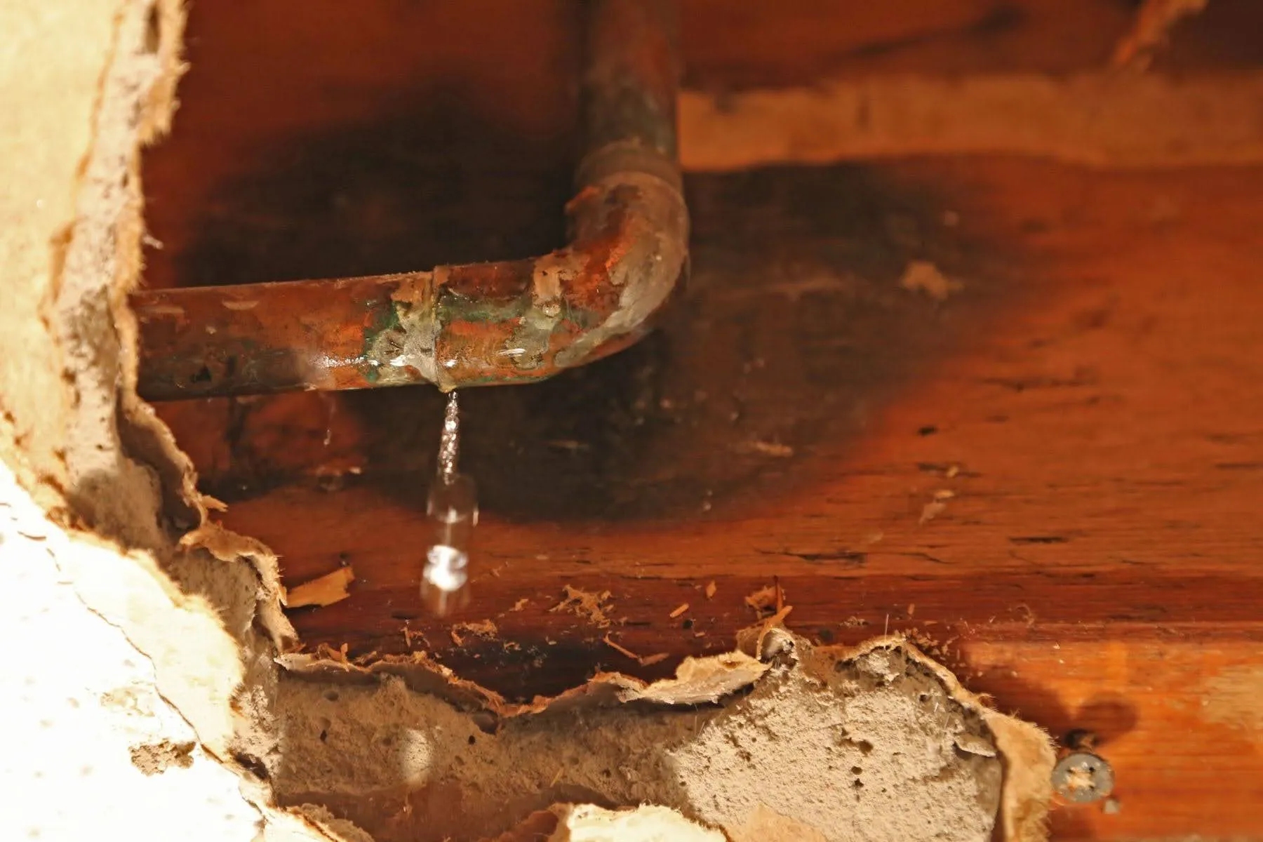 From Burst Pipes to Flooded Basements: How 911 Restoration Handles Water Damage Faster Than the Competition